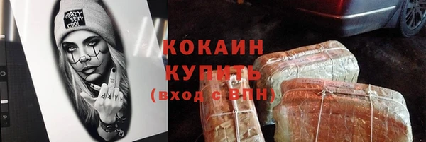 прущие грибы Пестово