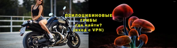 гидропоника Няндома