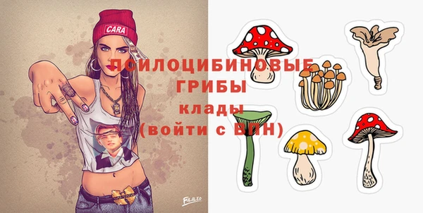 прущие грибы Нязепетровск