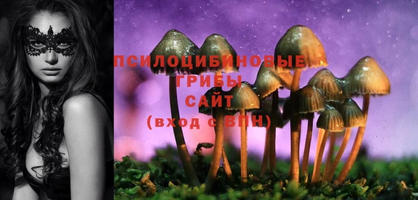 прущие грибы Нязепетровск